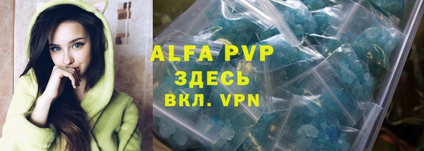 индика Балахна