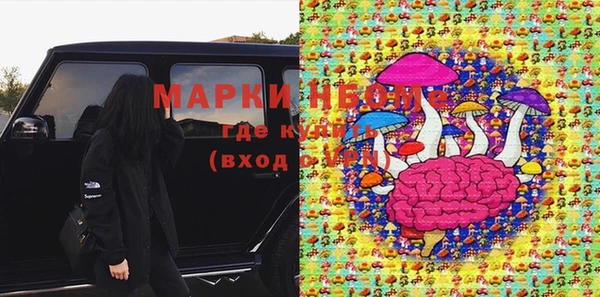 индика Балахна