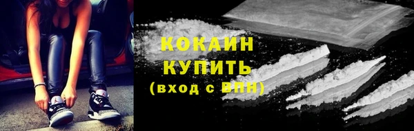 индика Балахна