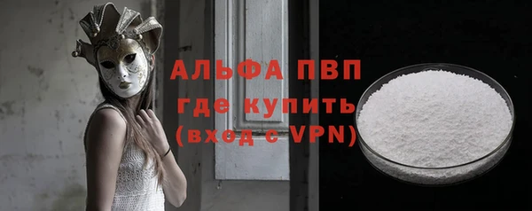 прущие грибы Баксан