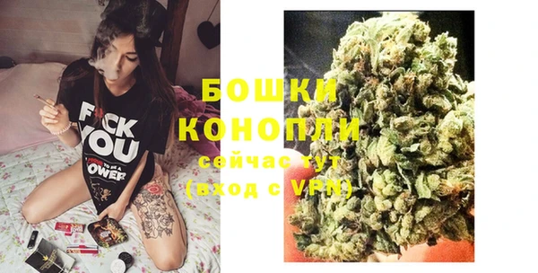 прущие грибы Баксан