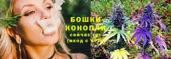 прущие грибы Баксан