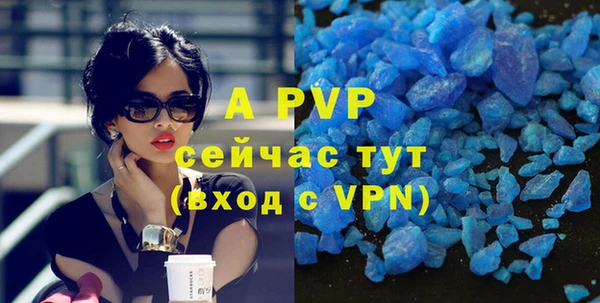 индика Балахна