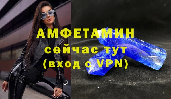 прущие грибы Баксан