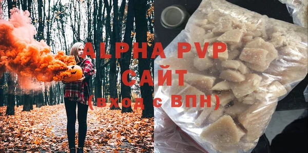 прущие грибы Баксан